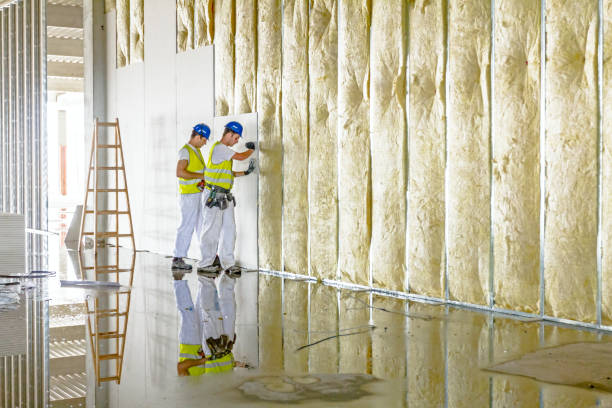 Best Insulation Installation Services in West Odessa, TX